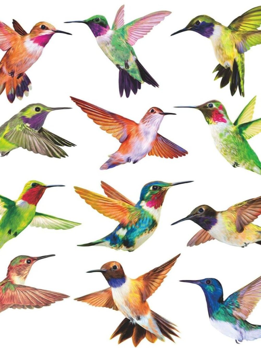 Anti-Collision Window Clings Bird Alert Collision Decals to Prevent Bird Strikes